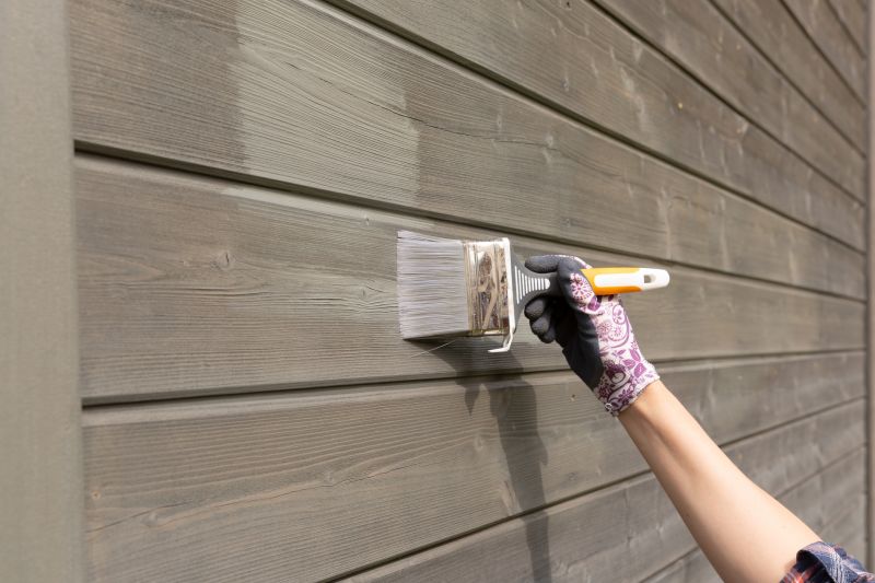House Siding Painting